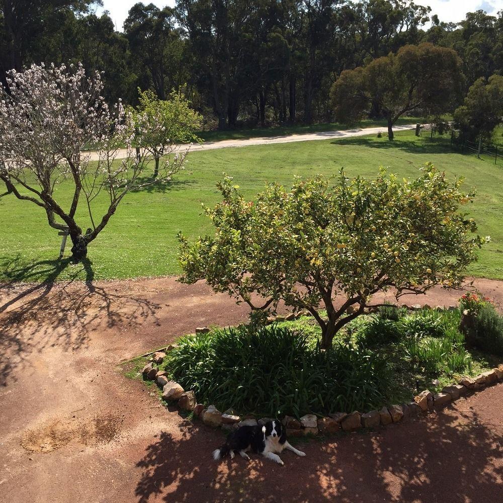 Erravilla Country Estate Spa Suite Accommodation Cowaramup Dış mekan fotoğraf